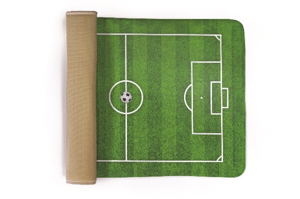 Carpet Ball field