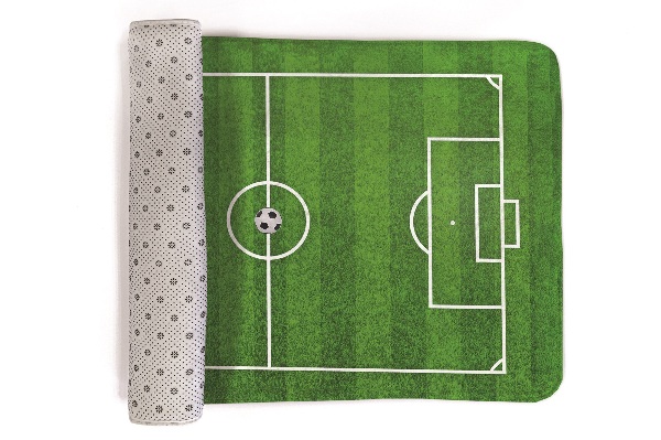 Carpet Ball field
