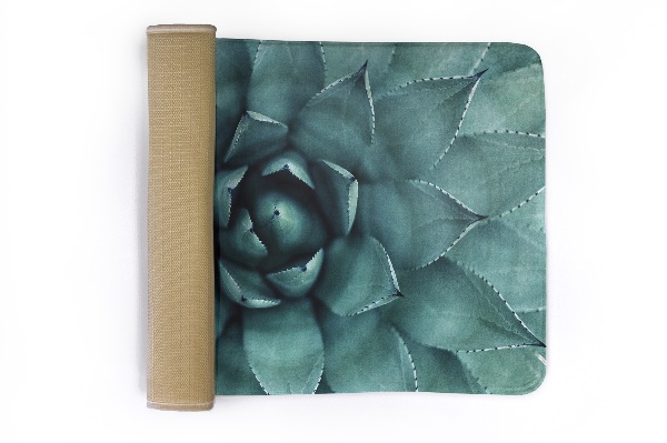 Carpet Succulent plant from above