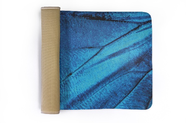 Carpet Butterfly wing