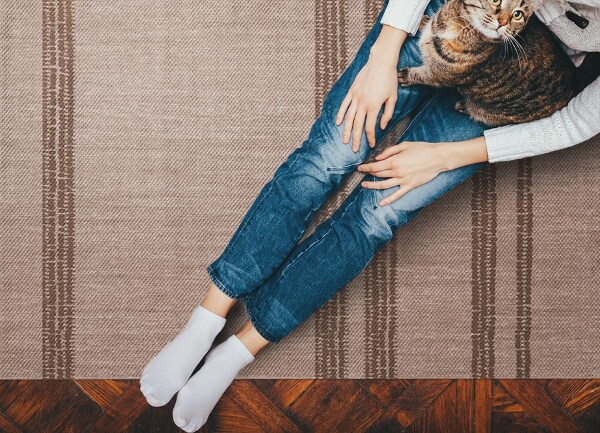 Vinyl floor rug Brown with lines