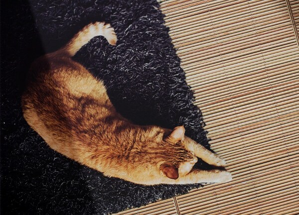 Vinyl floor rug Cane
