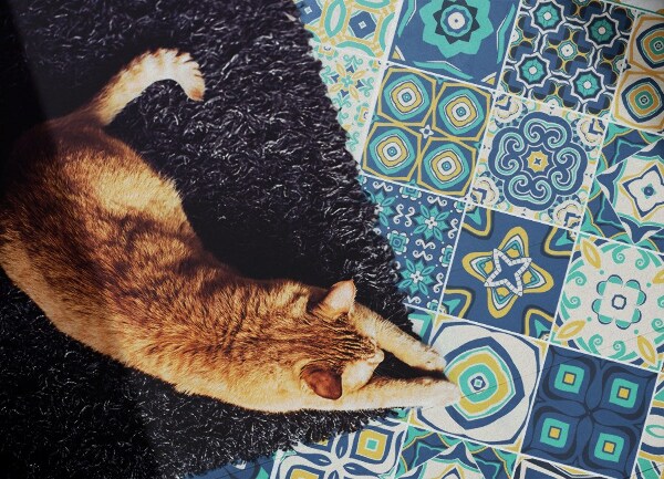 Universal vinyl carpet Spanish tiles