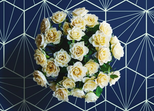Interior PVC rug Hexagons