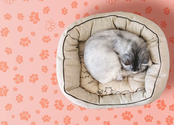 Interior vinyl floor mat Paw prints